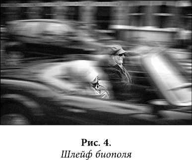 Иллюстрация к книге — Квантовая биомеханика тела. Методика оздоровления опорно-двигательного аппарата. Часть 2 [_03.jpg]