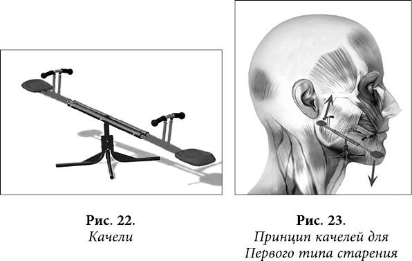 Иллюстрация к книге — Квантовая биомеханика тела. Методика оздоровления опорно-двигательного аппарата. Часть 2 [_17.jpg]