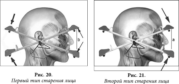 Иллюстрация к книге — Квантовая биомеханика тела. Методика оздоровления опорно-двигательного аппарата. Часть 2 [_18.jpg]