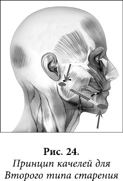 Иллюстрация к книге — Квантовая биомеханика тела. Методика оздоровления опорно-двигательного аппарата. Часть 2 [_19.jpg]