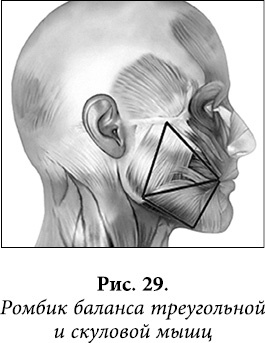 Иллюстрация к книге — Квантовая биомеханика тела. Методика оздоровления опорно-двигательного аппарата. Часть 2 [_22.jpg]