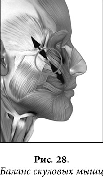 Иллюстрация к книге — Квантовая биомеханика тела. Методика оздоровления опорно-двигательного аппарата. Часть 2 [_23.jpg]