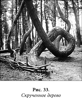 Иллюстрация к книге — Квантовая биомеханика тела. Методика оздоровления опорно-двигательного аппарата. Часть 2 [_27.jpg]