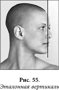 Иллюстрация к книге — Квантовая биомеханика тела. Методика оздоровления опорно-двигательного аппарата. Часть 2 [_44.jpg]