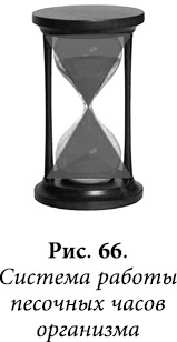 Иллюстрация к книге — Квантовая биомеханика тела. Методика оздоровления опорно-двигательного аппарата. Часть 2 [_53.jpg]