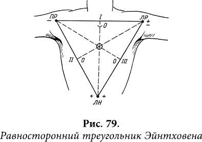 Иллюстрация к книге — Квантовая биомеханика тела. Методика оздоровления опорно-двигательного аппарата. Часть 2 [_66.jpg]