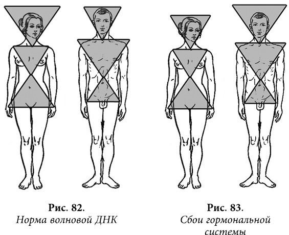 Иллюстрация к книге — Квантовая биомеханика тела. Методика оздоровления опорно-двигательного аппарата. Часть 2 [_69.jpg]
