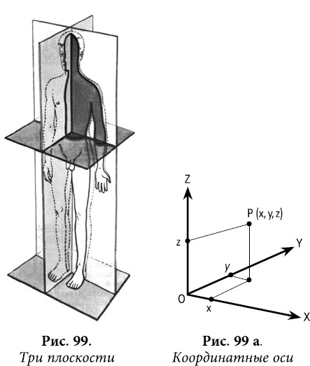 Иллюстрация к книге — Квантовая биомеханика тела. Методика оздоровления опорно-двигательного аппарата. Часть 2 [_82.jpg]