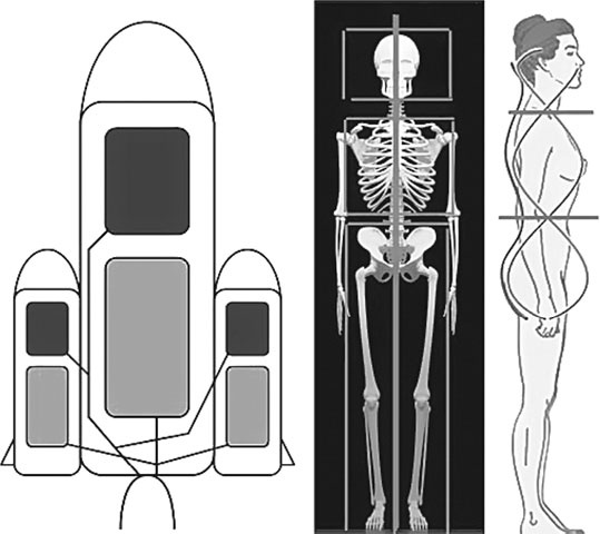 Иллюстрация к книге — Система Осьмионика. Самомоделирование осанки. Коррекция верхней половины тела [_1.jpg]