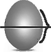 Иллюстрация к книге — Система Осьмионика. Самомоделирование осанки. Коррекция верхней половины тела [_26.jpg]