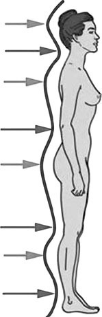 Иллюстрация к книге — Система Осьмионика. Самомоделирование осанки. Коррекция верхней половины тела [_4.jpg]