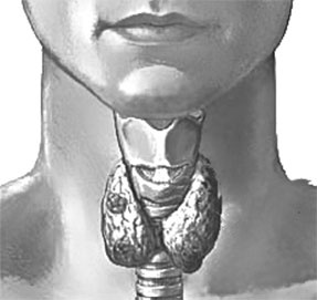 Иллюстрация к книге — Система Осьмионика. Самомоделирование осанки. Коррекция верхней половины тела [_42.jpg]