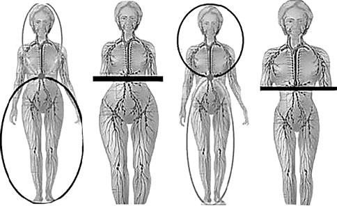 Иллюстрация к книге — Система Осьмионика. Самомоделирование осанки. Коррекция верхней половины тела [_46.jpg]