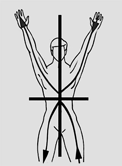 Иллюстрация к книге — Система Осьмионика. Самомоделирование осанки. Коррекция верхней половины тела [_49.jpg]