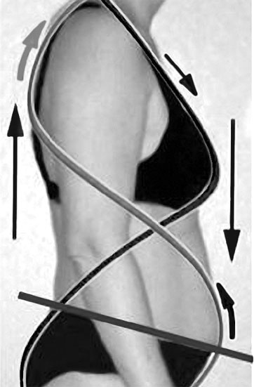 Иллюстрация к книге — Система Осьмионика. Самомоделирование осанки. Коррекция верхней половины тела [_5.jpg]