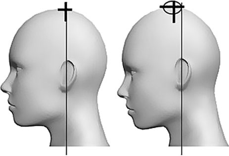 Иллюстрация к книге — Система Осьмионика. Самомоделирование осанки. Коррекция верхней половины тела [_51.jpg]