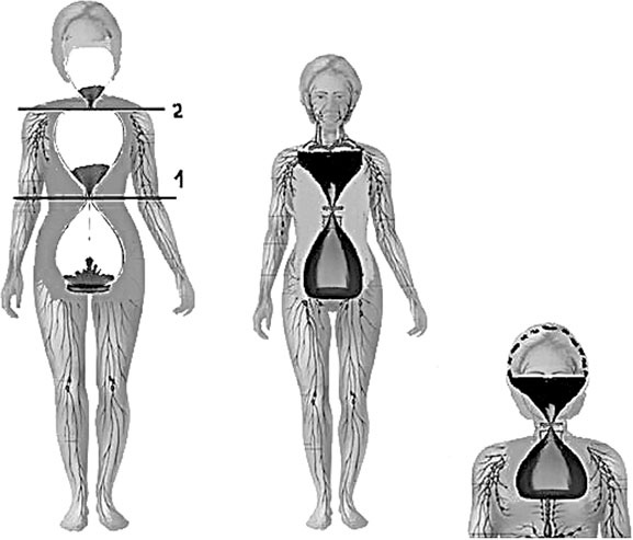 Иллюстрация к книге — Система Осьмионика. Самомоделирование осанки. Коррекция верхней половины тела [_57.jpg]