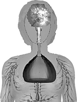 Иллюстрация к книге — Система Осьмионика. Самомоделирование осанки. Коррекция верхней половины тела [_59.jpg]
