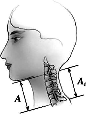 Иллюстрация к книге — Система Осьмионика. Самомоделирование осанки. Коррекция верхней половины тела [_67.jpg]