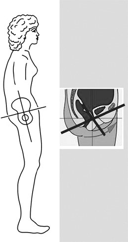 Иллюстрация к книге — Система Осьмионика. Самомоделирование осанки. Коррекция верхней половины тела [_8.jpg]