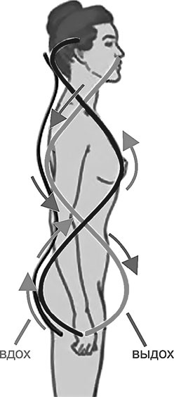 Иллюстрация к книге — Система Осьмионика. Самомоделирование осанки. Коррекция верхней половины тела [_84.jpg]