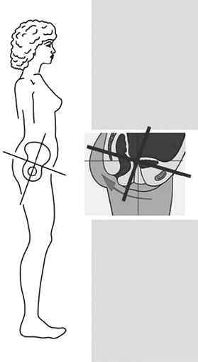 Иллюстрация к книге — Система Осьмионика. Самомоделирование осанки. Коррекция верхней половины тела [_9.jpg]