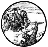 Иллюстрация к книге — Дольмен [i_004.jpg]