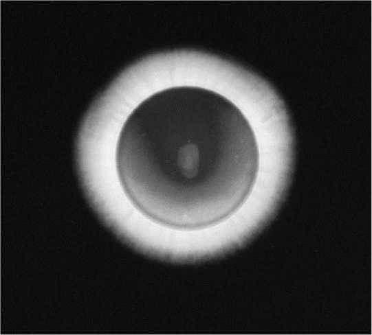 Иллюстрация к книге — Никола Тесла [i_054.jpg]