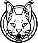 Иллюстрация к книге — Клуб исследователей полярных медведей [i_012.jpg]