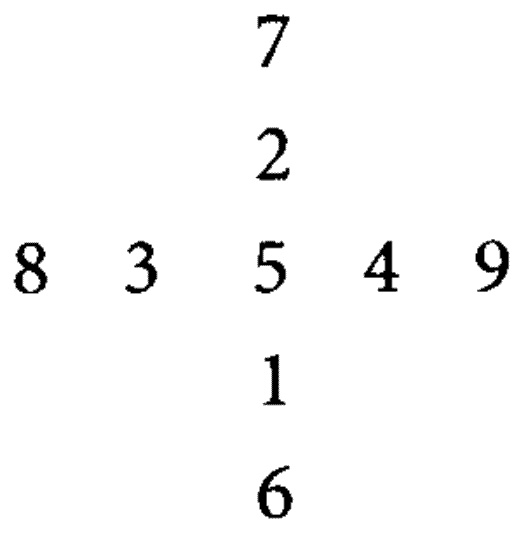 Иллюстрация к книге — Время. Ритмы и паузы [i_006.jpg]