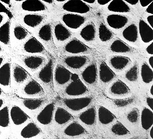 Иллюстрация к книге — Время. Ритмы и паузы [i_035.jpg]