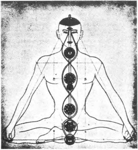 Иллюстрация к книге — Время. Ритмы и паузы [i_137.jpg]