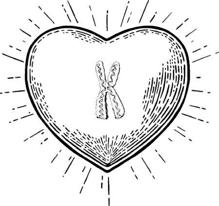 Иллюстрация к книге — Генетика на завтрак. Научные лайфхаки для повседневной жизни [i_011.jpg]