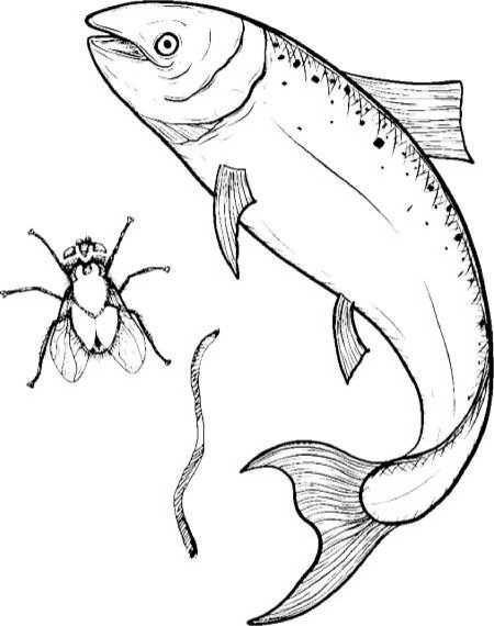 Иллюстрация к книге — Генетика на завтрак. Научные лайфхаки для повседневной жизни [i_031.jpg]