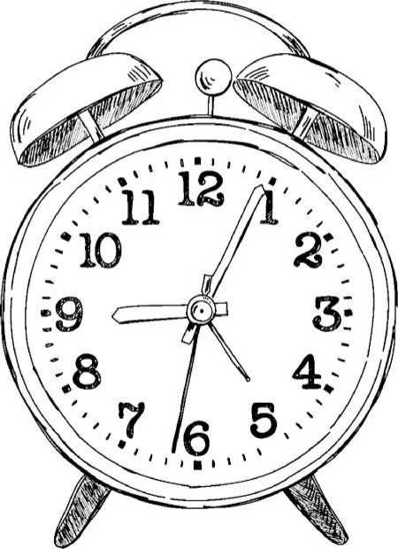 Иллюстрация к книге — Генетика на завтрак. Научные лайфхаки для повседневной жизни [i_050.jpg]