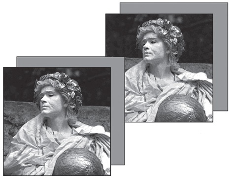 Иллюстрация к книге — Инкогнито. Тайная жизнь мозга [i_005.jpg]