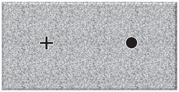 Иллюстрация к книге — Инкогнито. Тайная жизнь мозга [i_010.jpg]