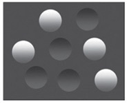 Иллюстрация к книге — Инкогнито. Тайная жизнь мозга [i_011.jpg]