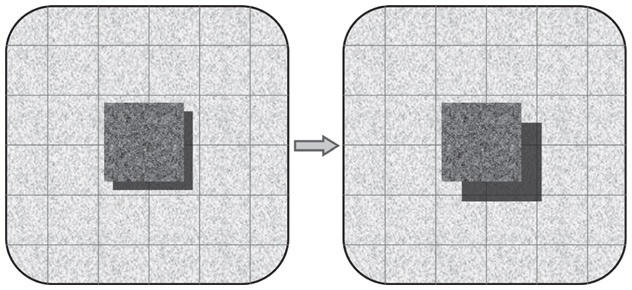 Иллюстрация к книге — Инкогнито. Тайная жизнь мозга [i_012.jpg]