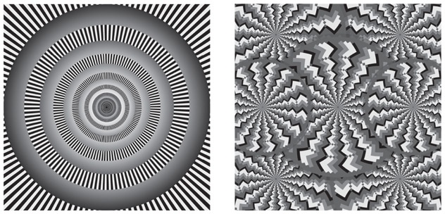 Иллюстрация к книге — Инкогнито. Тайная жизнь мозга [i_013.jpg]