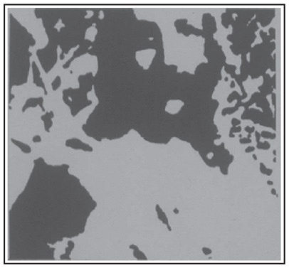 Иллюстрация к книге — Инкогнито. Тайная жизнь мозга [i_017.jpg]