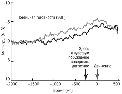 Иллюстрация к книге — Инкогнито. Тайная жизнь мозга [i_022.jpg]