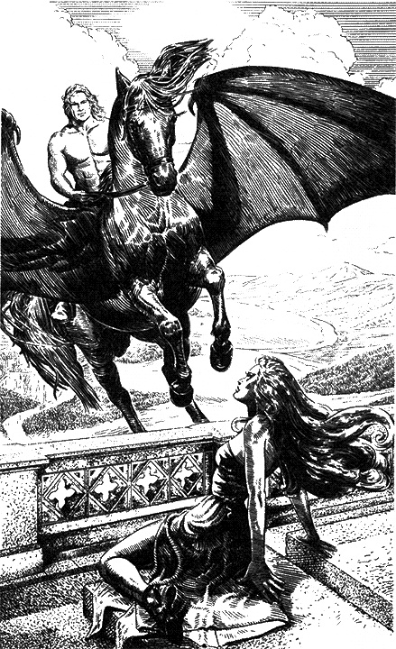 Иллюстрация к книге — Неласковый отбор для Золушки [i_001.jpg]