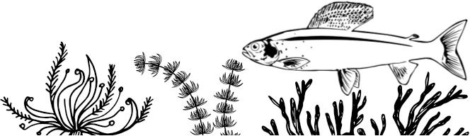 Иллюстрация к книге — Алый. С вопросами и ответами для почемучек [i_010.jpg]