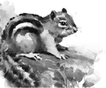 Иллюстрация к книге — Алый. С вопросами и ответами для почемучек [i_012.jpg]