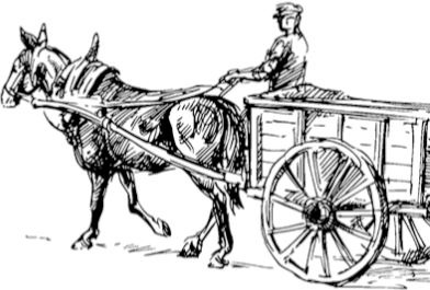 Иллюстрация к книге — Алый. С вопросами и ответами для почемучек [i_016.jpg]