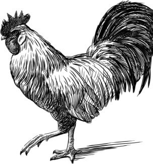 Иллюстрация к книге — Алый. С вопросами и ответами для почемучек [i_021.jpg]