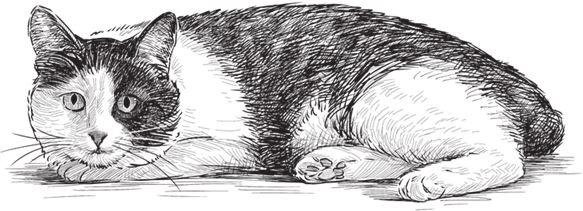 Иллюстрация к книге — Алый. С вопросами и ответами для почемучек [i_030.jpg]