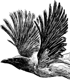 Иллюстрация к книге — Алый. С вопросами и ответами для почемучек [i_035.jpg]