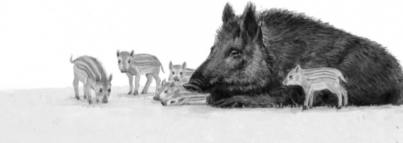 Иллюстрация к книге — Алый. С вопросами и ответами для почемучек [i_039.jpg]